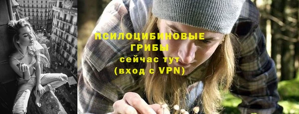 a pvp Горнозаводск