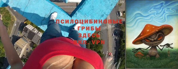 a pvp Горнозаводск