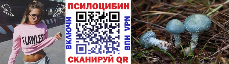 Галлюциногенные грибы Psilocybine cubensis  Иваново 